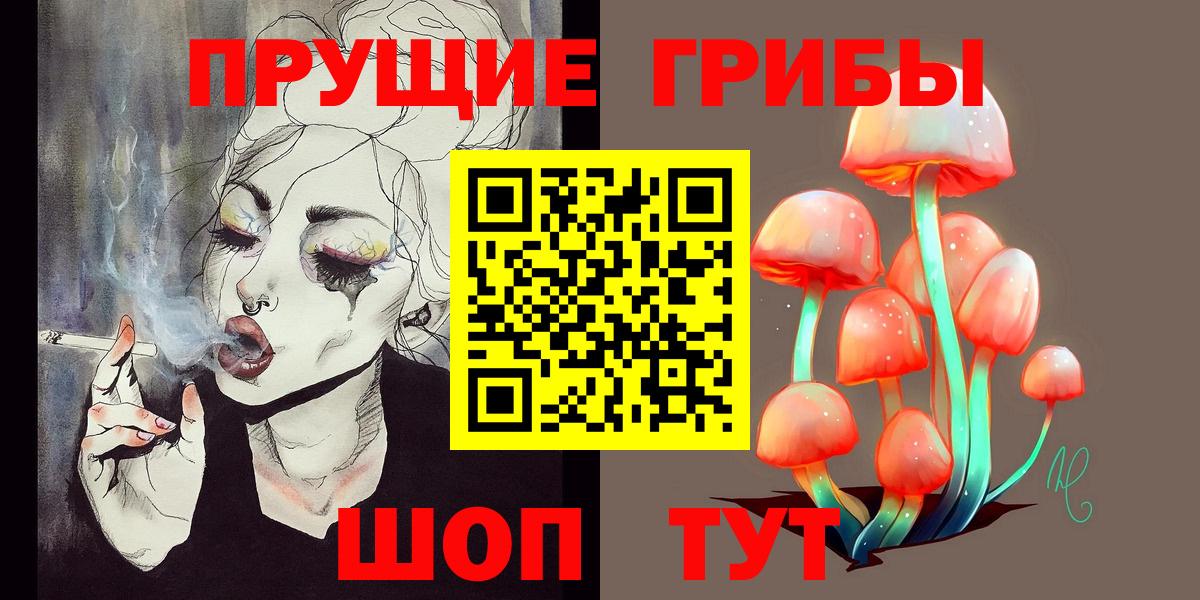 Псилоцибиновые грибы Cubensis  Псилоцибиновые грибы MAGIC MUSHROOMS  Вход с VPN  Грозный 
