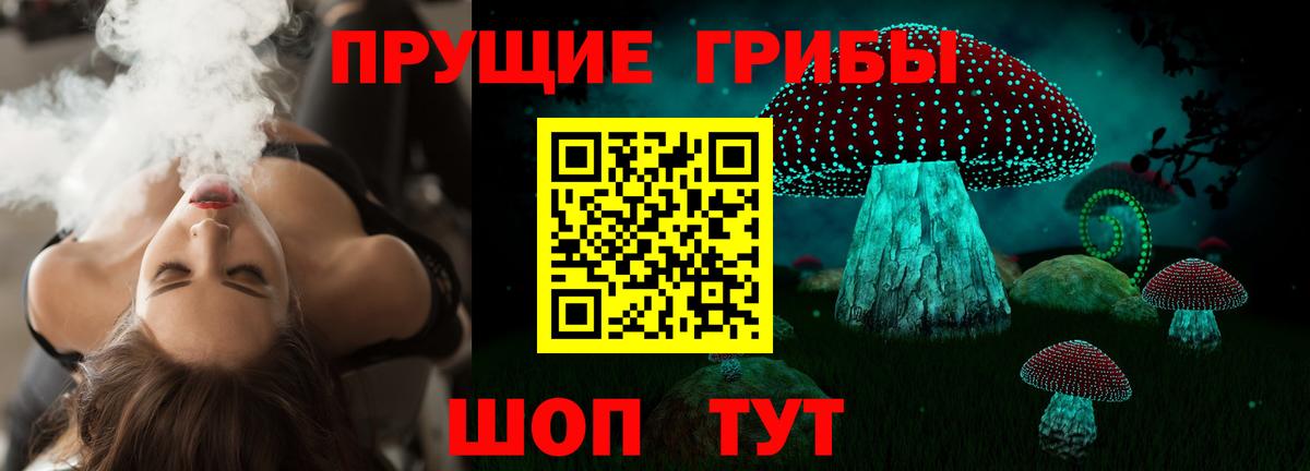 Галлюциногенные грибы прущие грибы Грозный