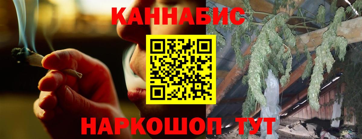 Канабис планчик Грозный